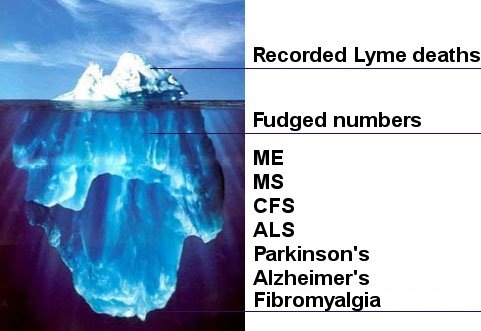 fudged-lyme-deaths-numbers3.jpg