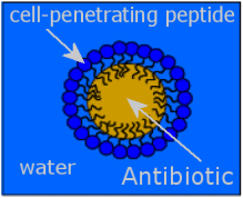 antibiotic-micelle