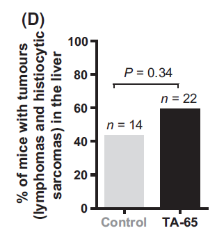 TA-65-cancer-liver-tumors