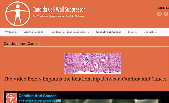 CandidaCellWallSuppressorScamReview