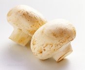 Portobello mushroom