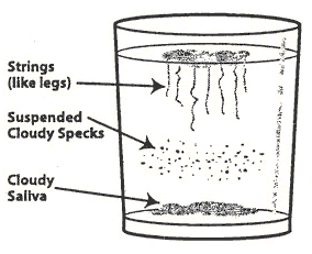 Candida spit test